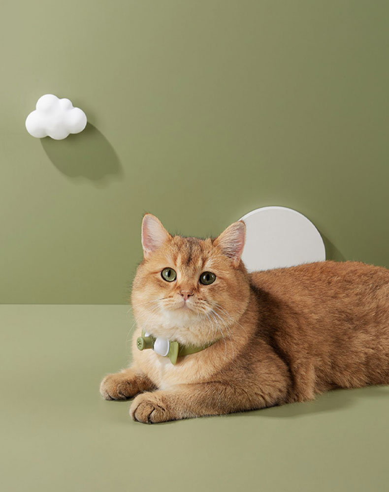 Candy Cat Laser Collar