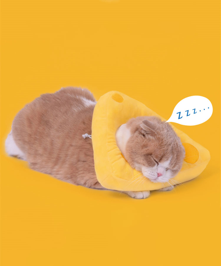 Cheese Cat Cone