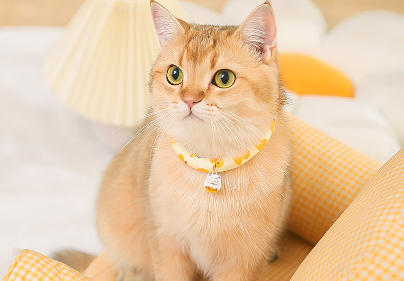 Duck Yellow Cat Collar
