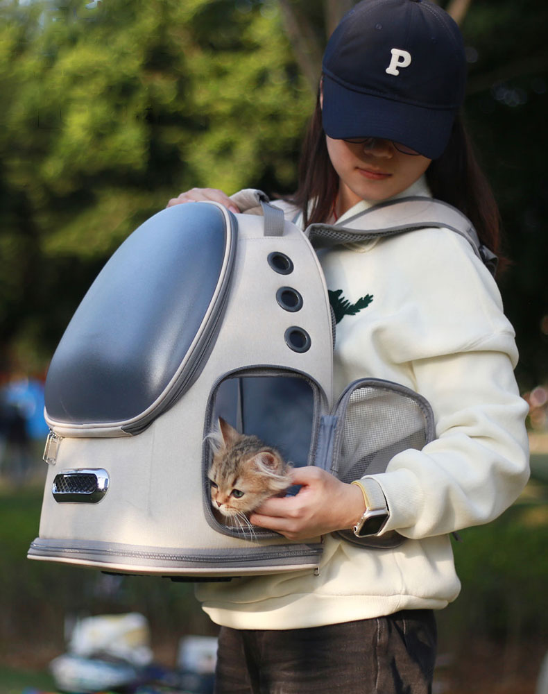 Frosted Semi-Transparent Cat Spaceship Backpack