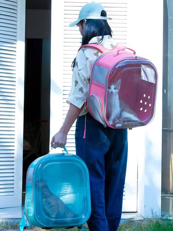 Square Clear Cat Carrier