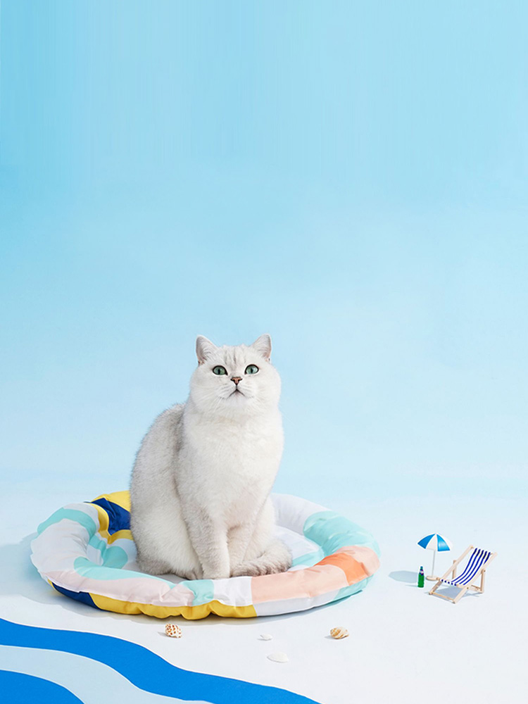 Modern-style Cooling Mat For Cats