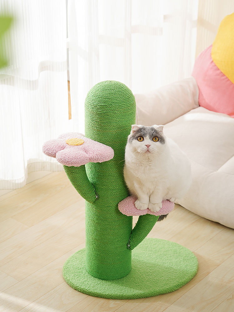 Flower and Cactus Cat Tree