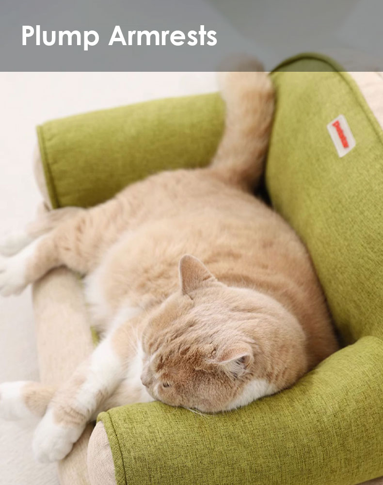 Innovative Mini Cat Couch