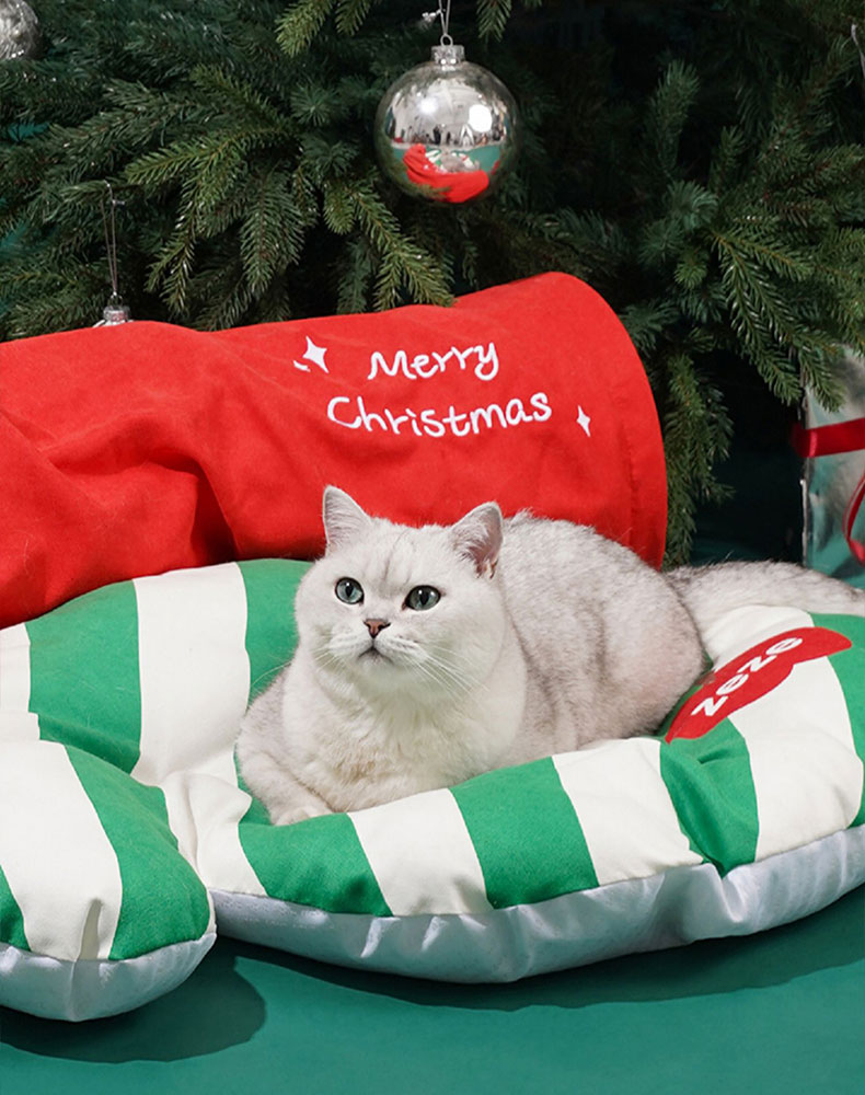 Glove Tunnel Cat Bed