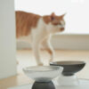White & Black Glass Cat Bowls