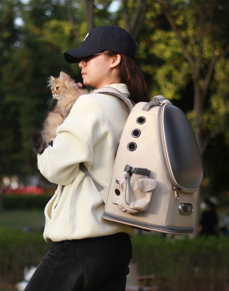 Frosted Semi-Transparent Cat Spaceship Backpack