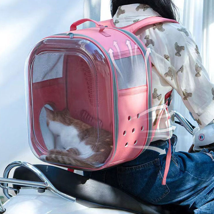 Square Clear Cat Carrier