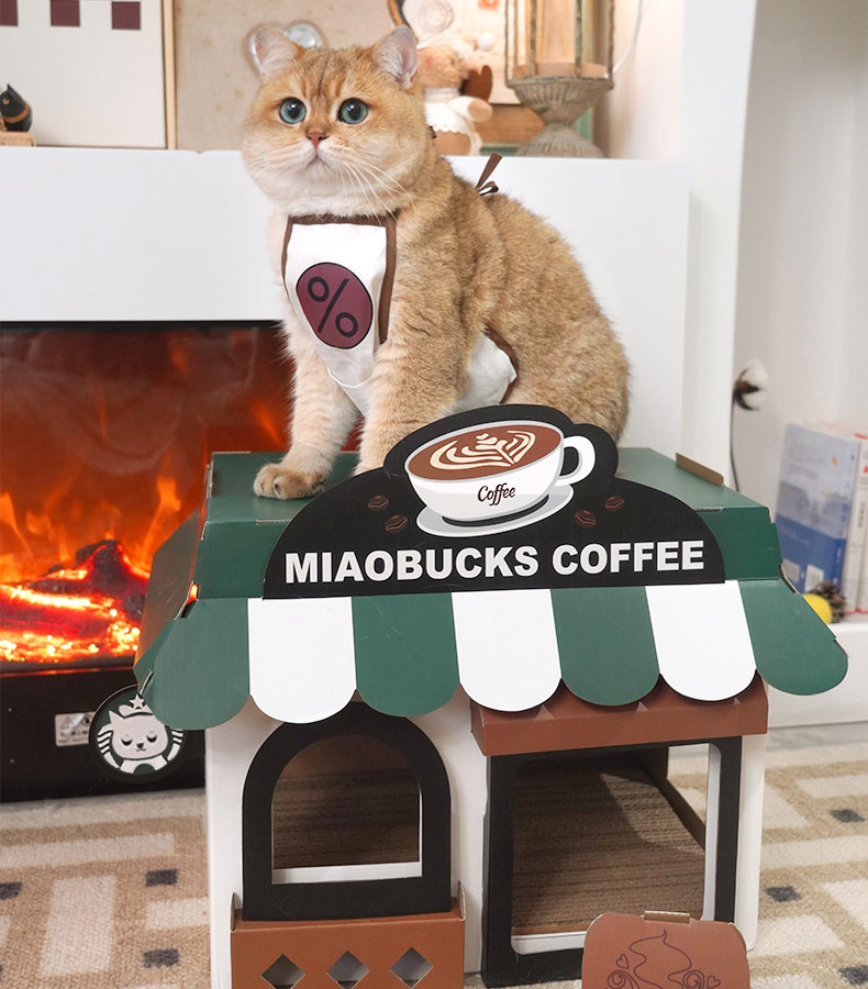 Café Cardboard Cat House