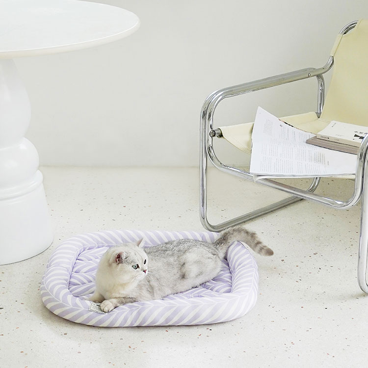 Nature-Inspired Cooling Mat for Cats
