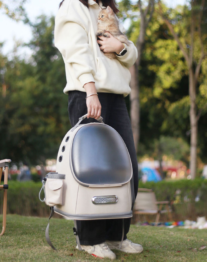 Frosted Semi-Transparent Cat Spaceship Backpack