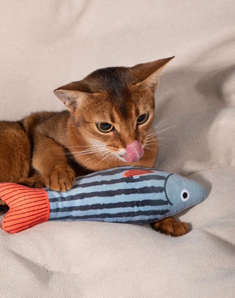 Cat Toy Fish Catnip Toy