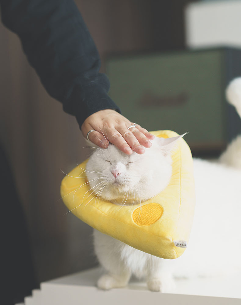 Cheese Cat Cone