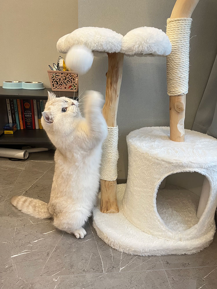 White Cloud Modern Cat Tree
