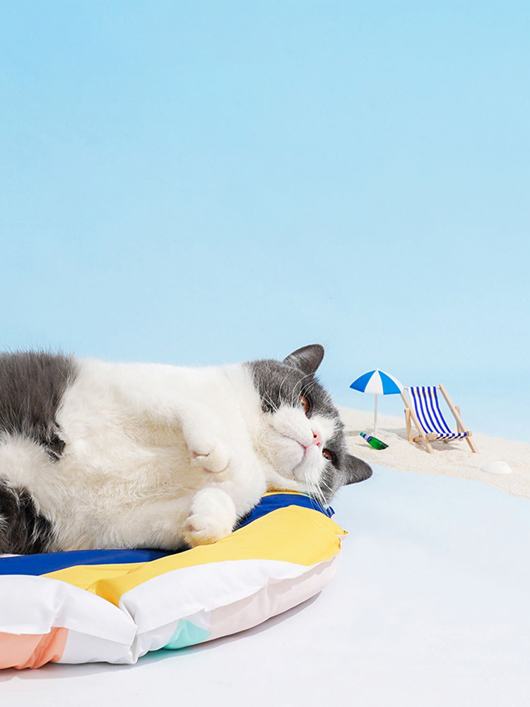 Modern-style Cooling Mat For Cats