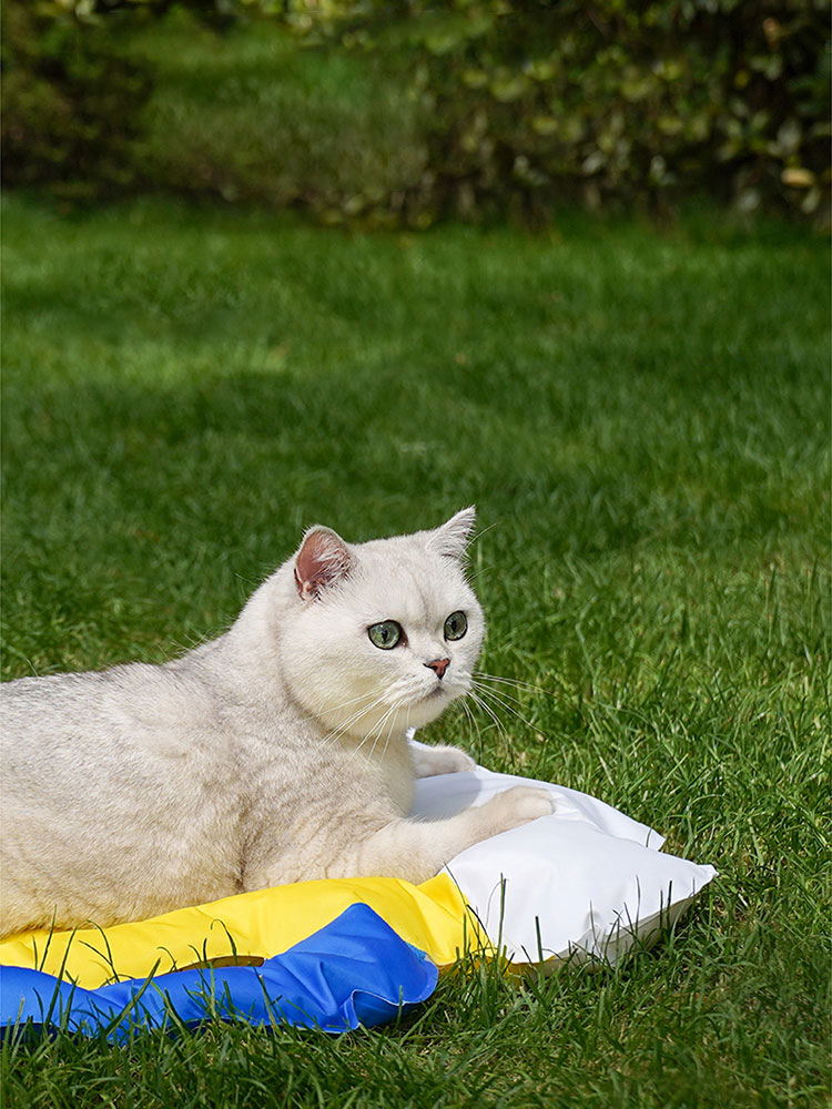 Beer-Shaped Pet Cooling Mat