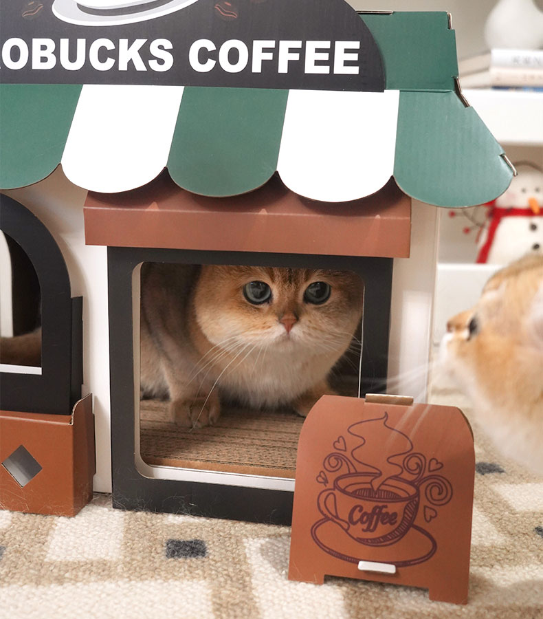 Café Cardboard Cat House