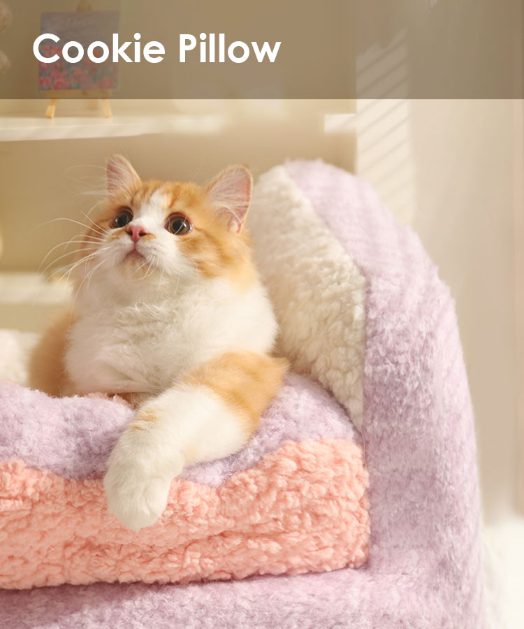 Delicious Cake Cat Couch