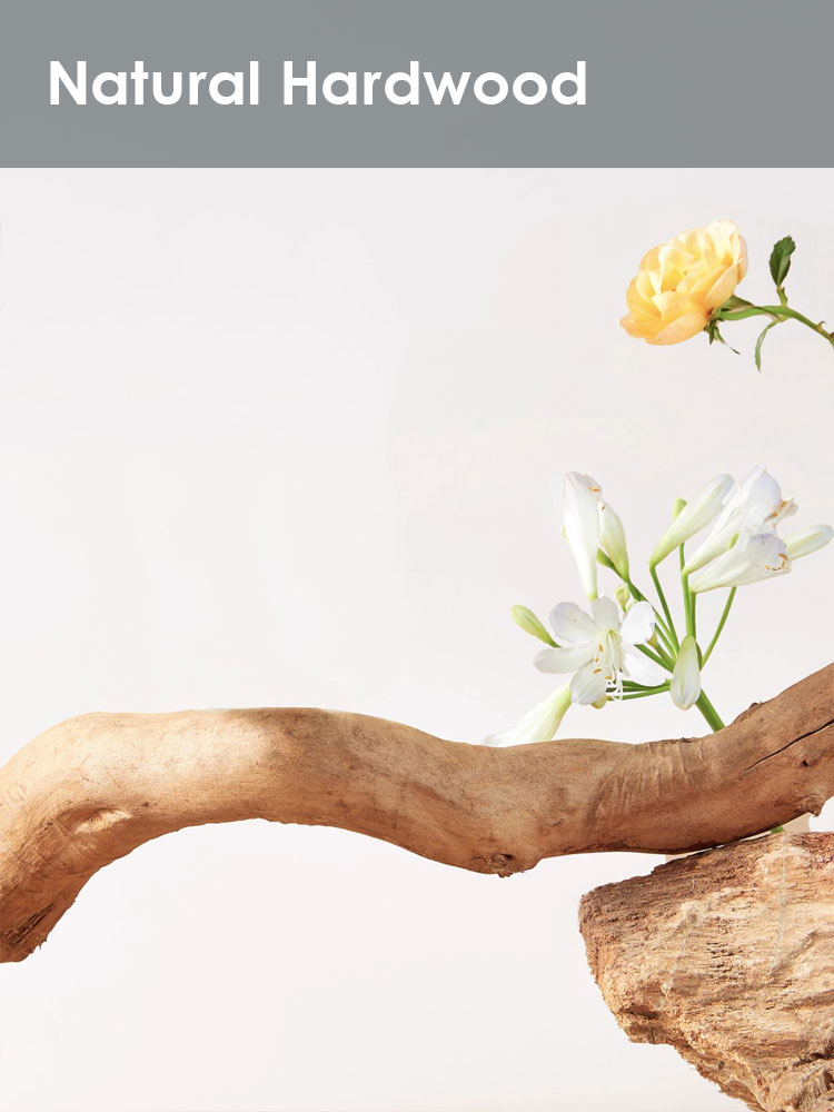 Luxury Tree Hollow Series Cat Tree