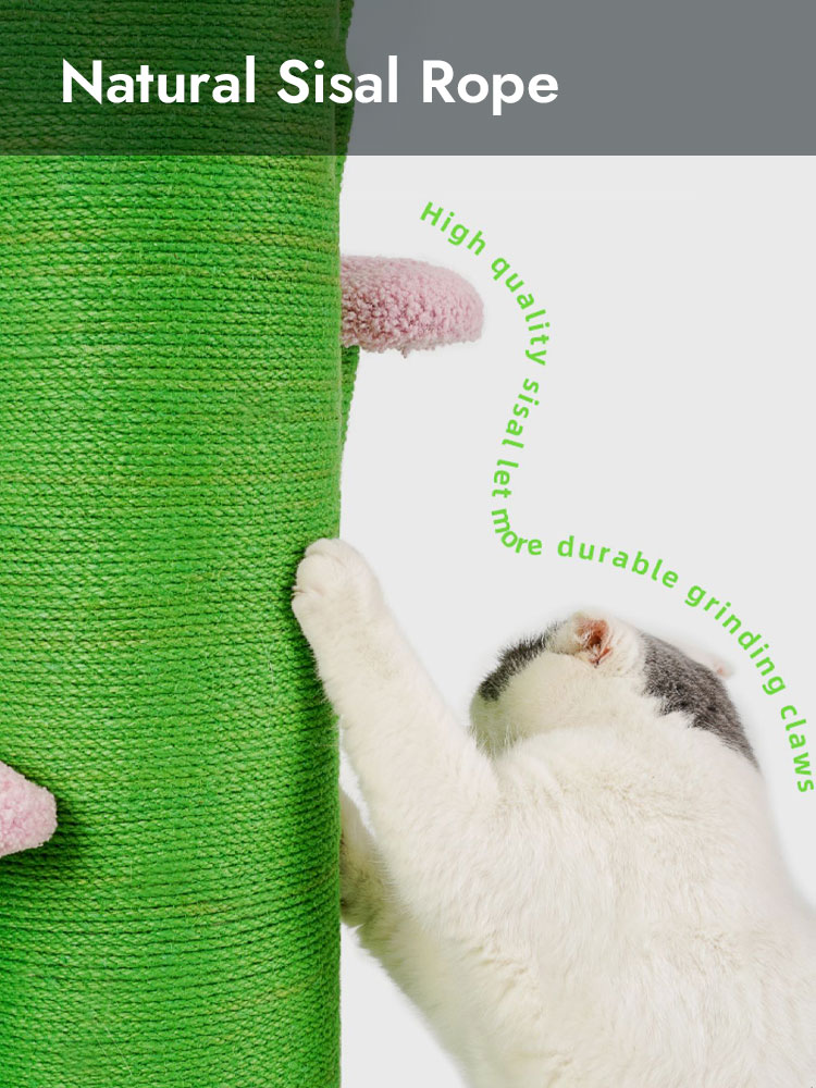 Flower and Cactus Cat Tree