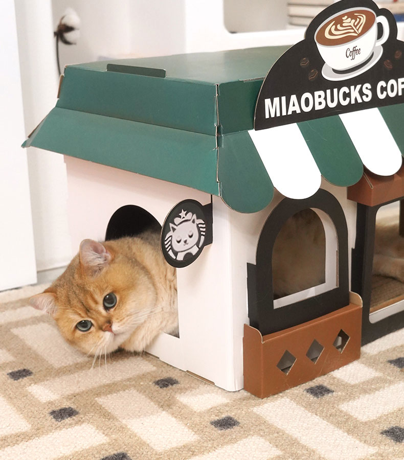 Café Cardboard Cat House